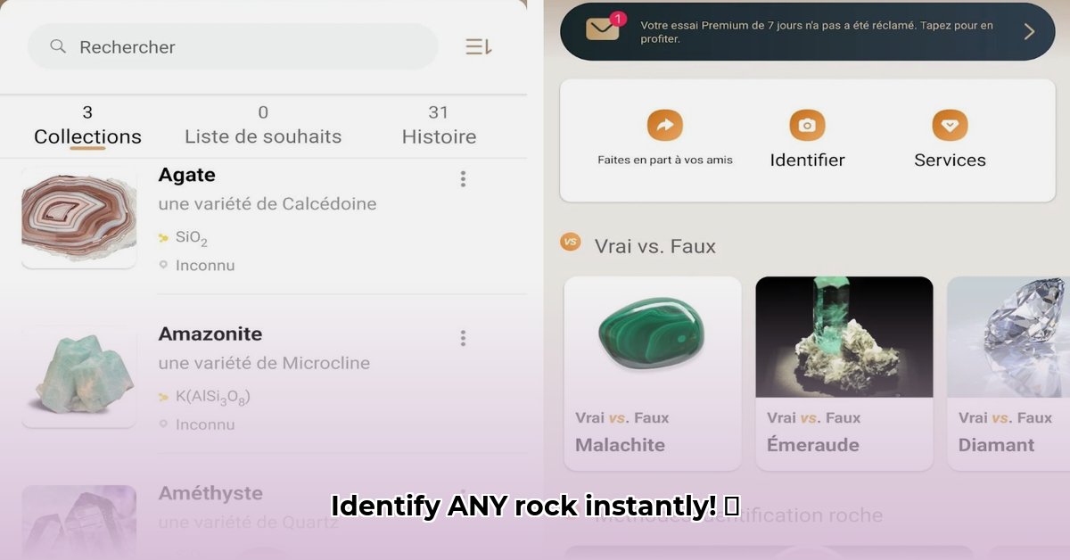 rock-identifier-apk